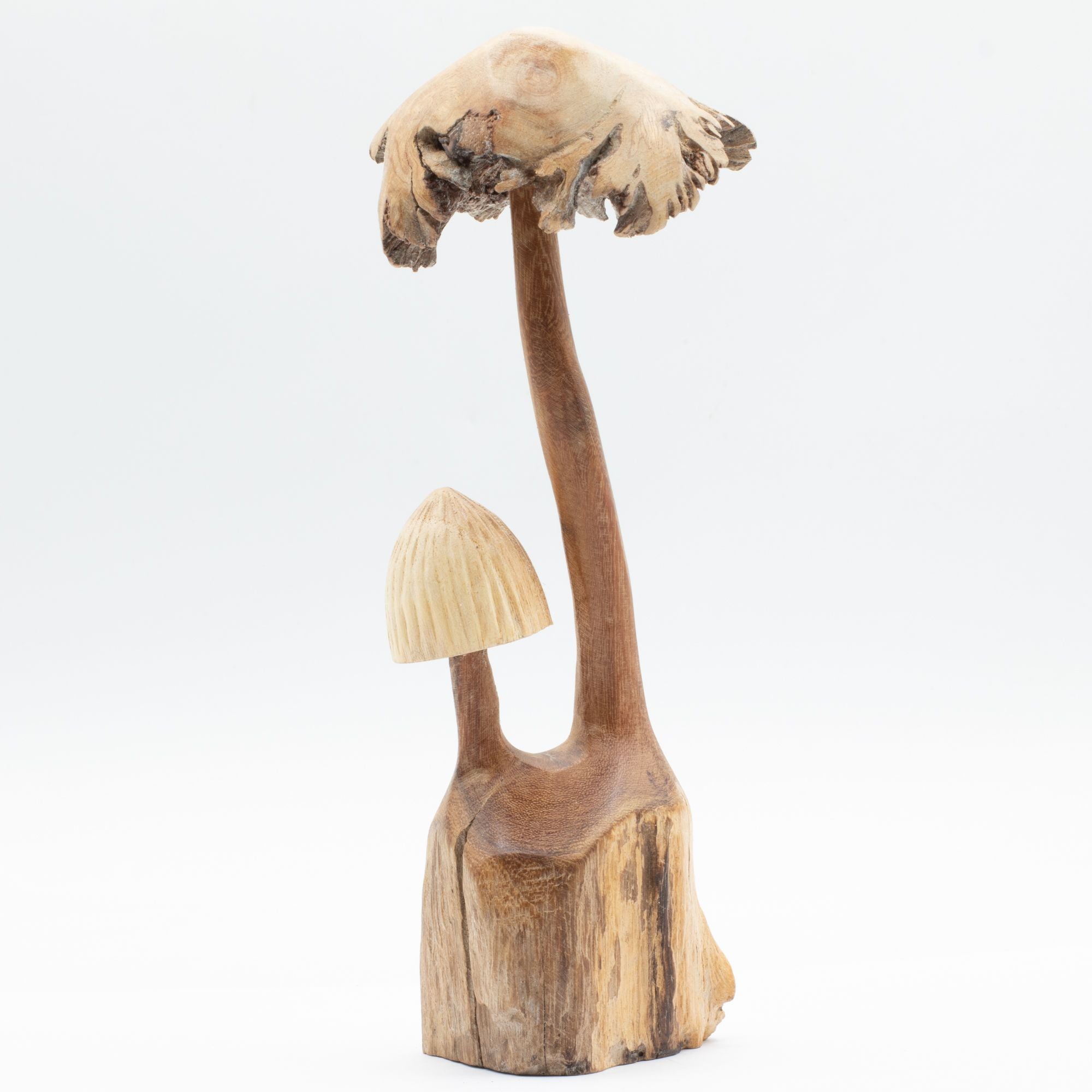 Conjunto de 2 Cogumelos em Madeira Parasita
