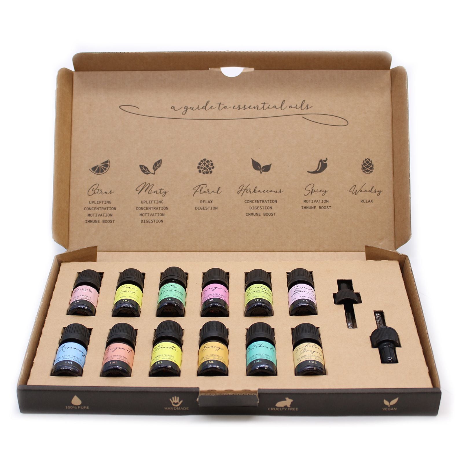 Conjunto de Óleos Essenciais de Aromaterapia – The Top 12 (12×5 ml)