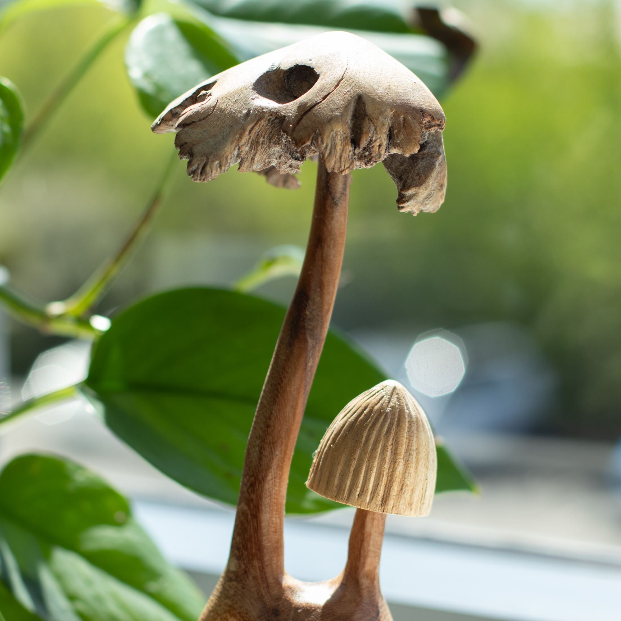 Conjunto de 2 Cogumelos em Madeira Parasita