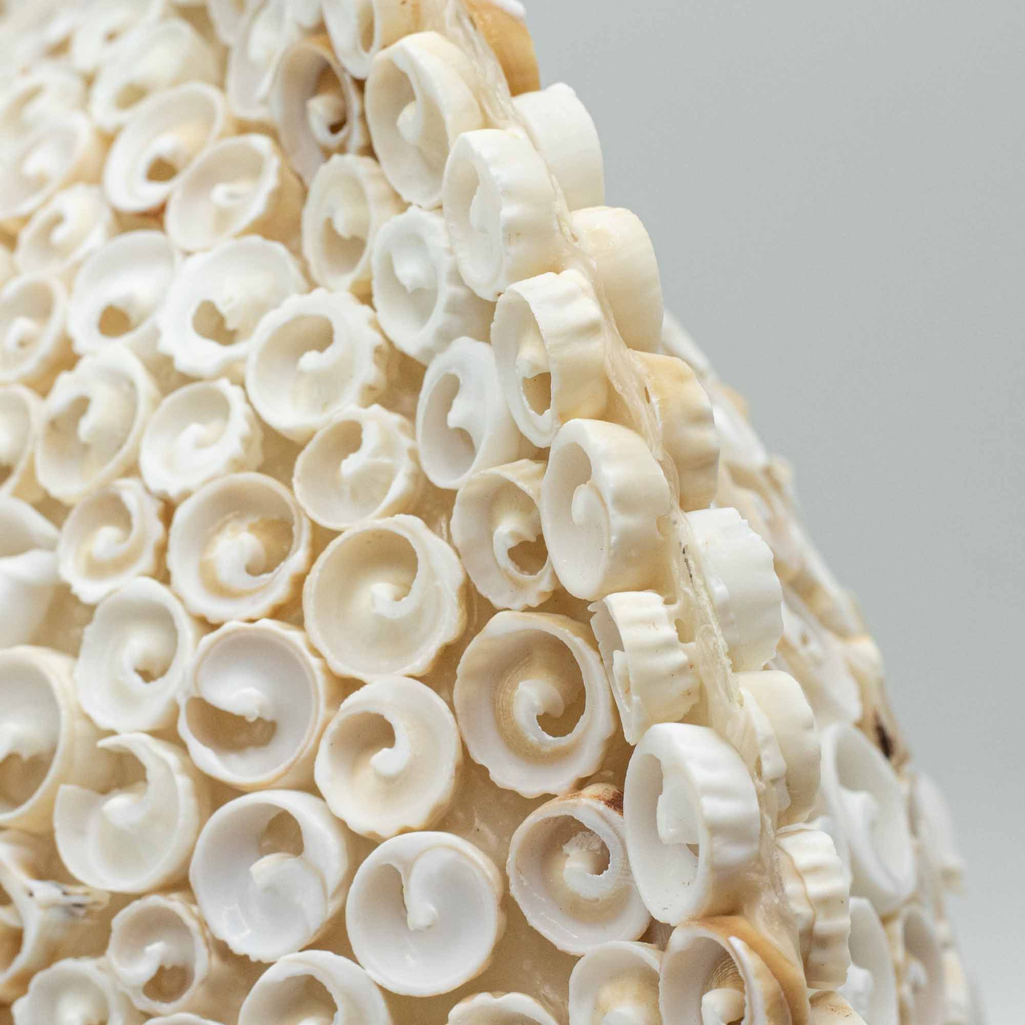 Lâmpada Boho de Conchas – Concha Redonda Grande