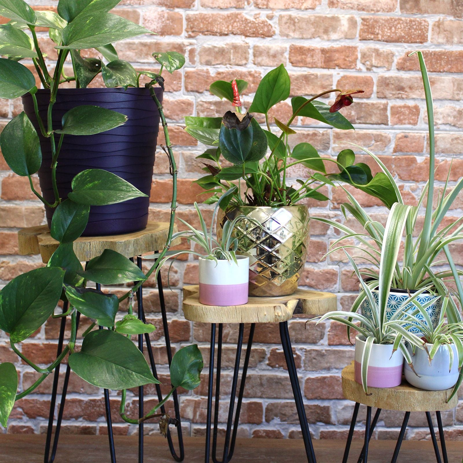 Conjunto de Vasos em Madeira Gamell Natural