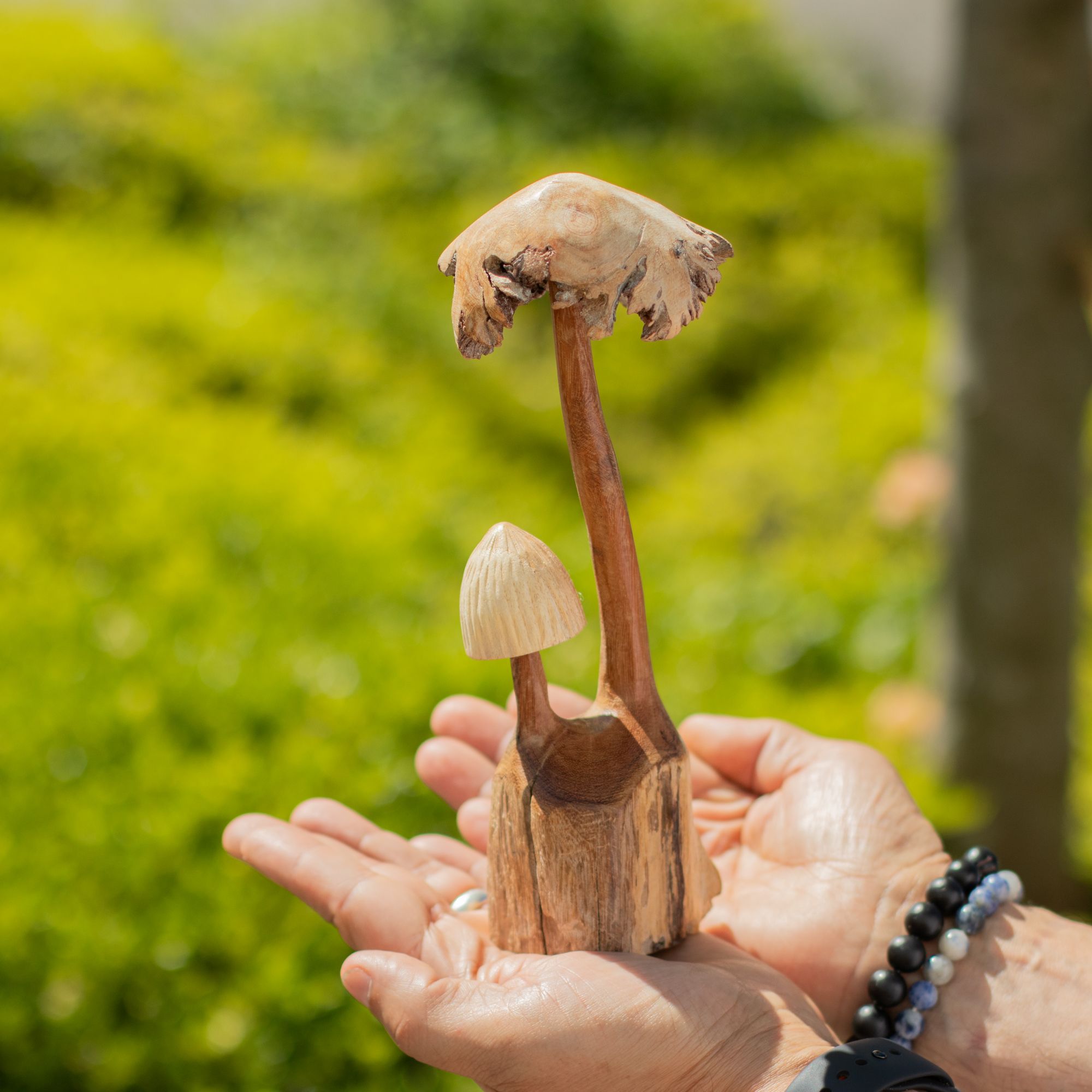Conjunto de 2 Cogumelos em Madeira Parasita