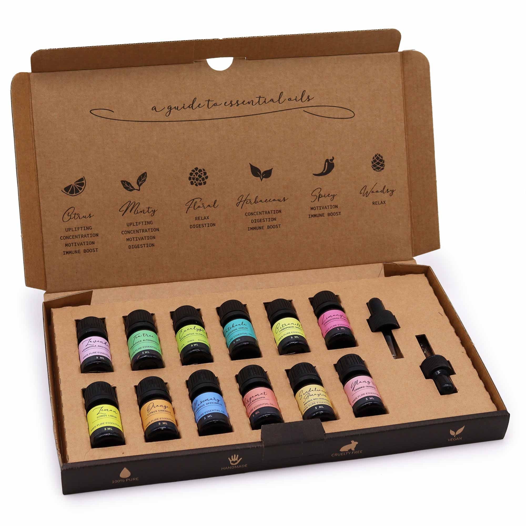 Conjunto de Óleos Essenciais de Aromaterapia – The Top 12 (12×5 ml)
