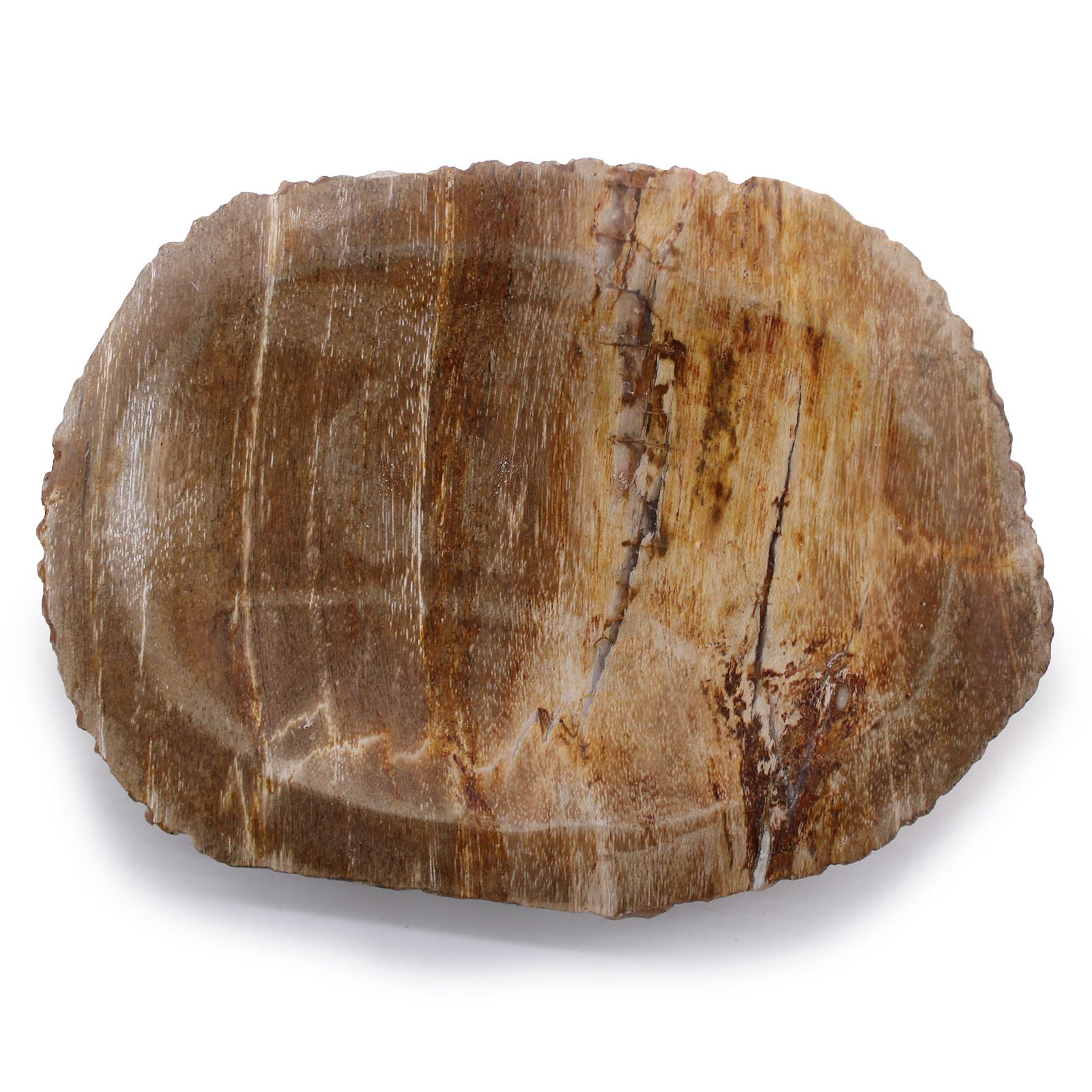 Saboneteira em Madeira Petrificada Castanha