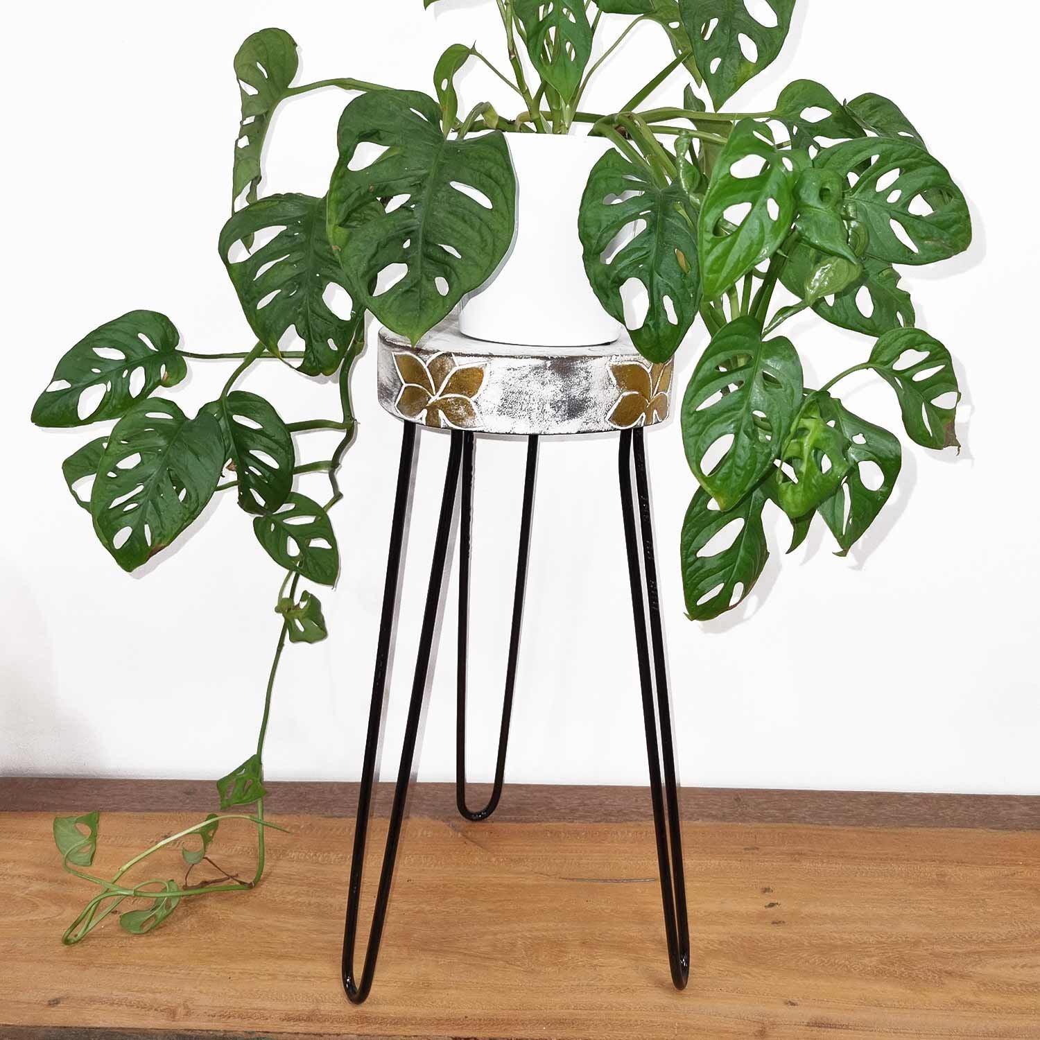 Suporte para Plantas em Madeira de Albasia Branqueada