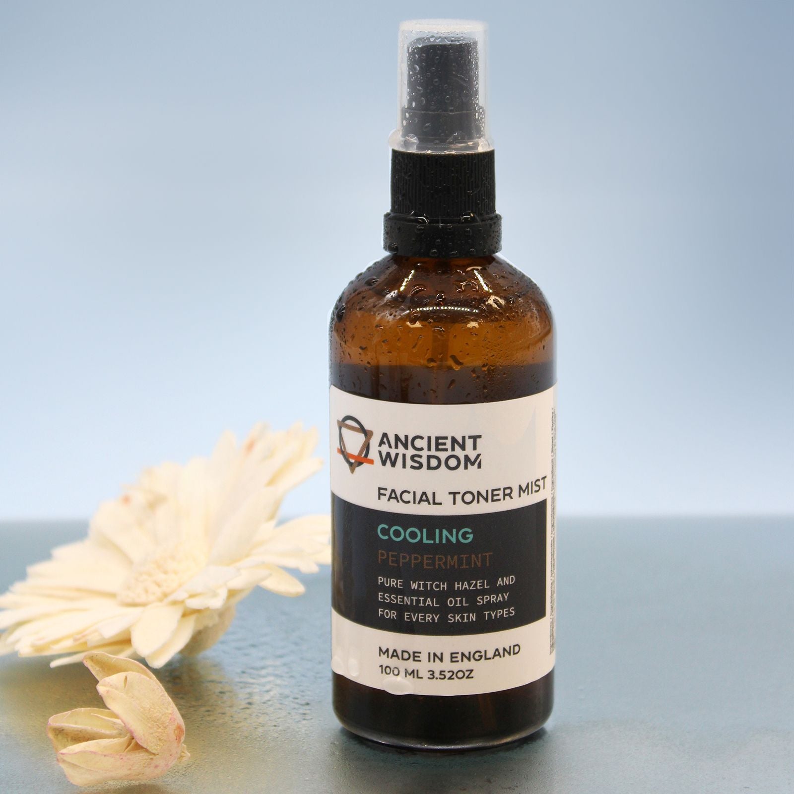 Hidratante Facial com Menta 100 ml