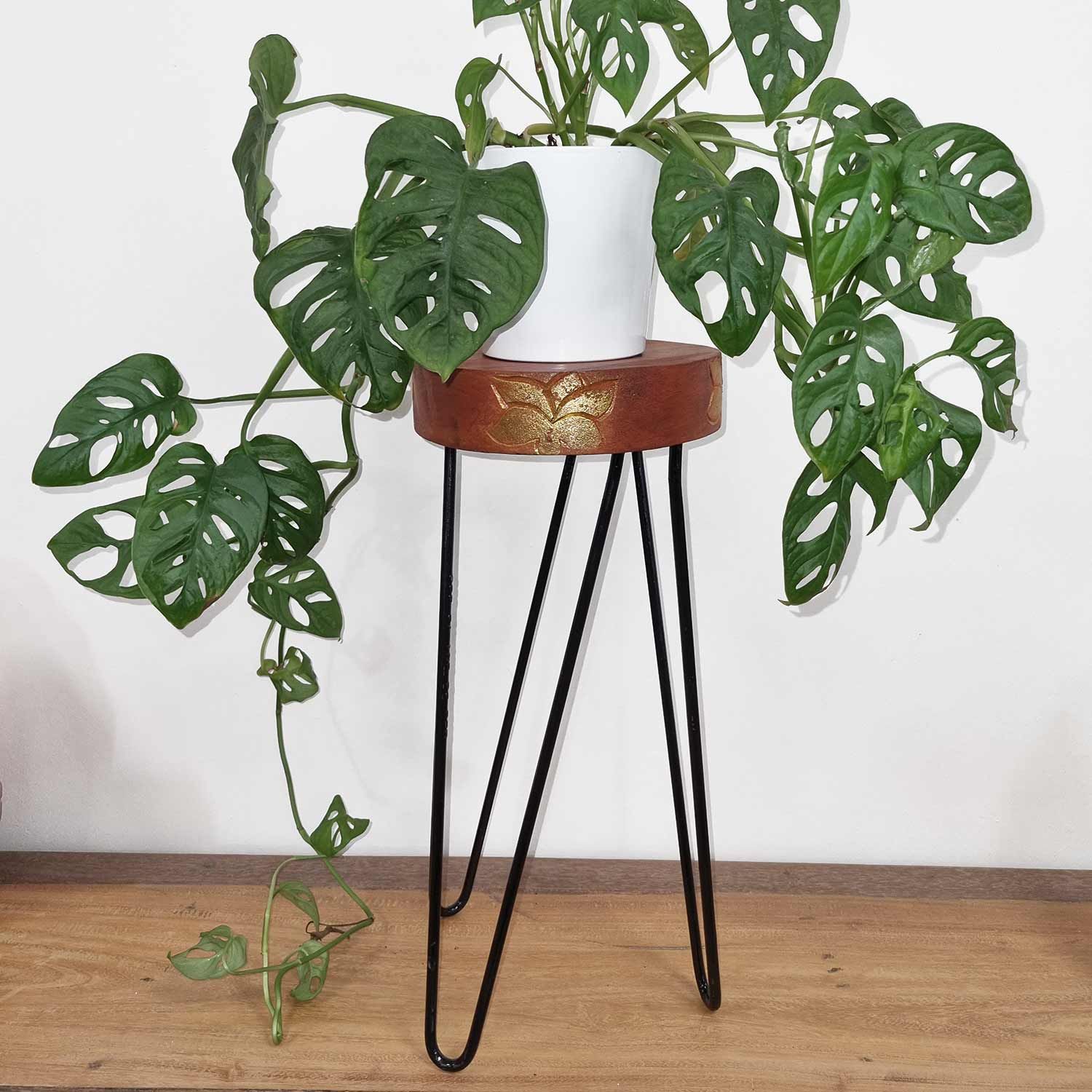 Suporte para Plantas em Madeira de Albasia Branqueada