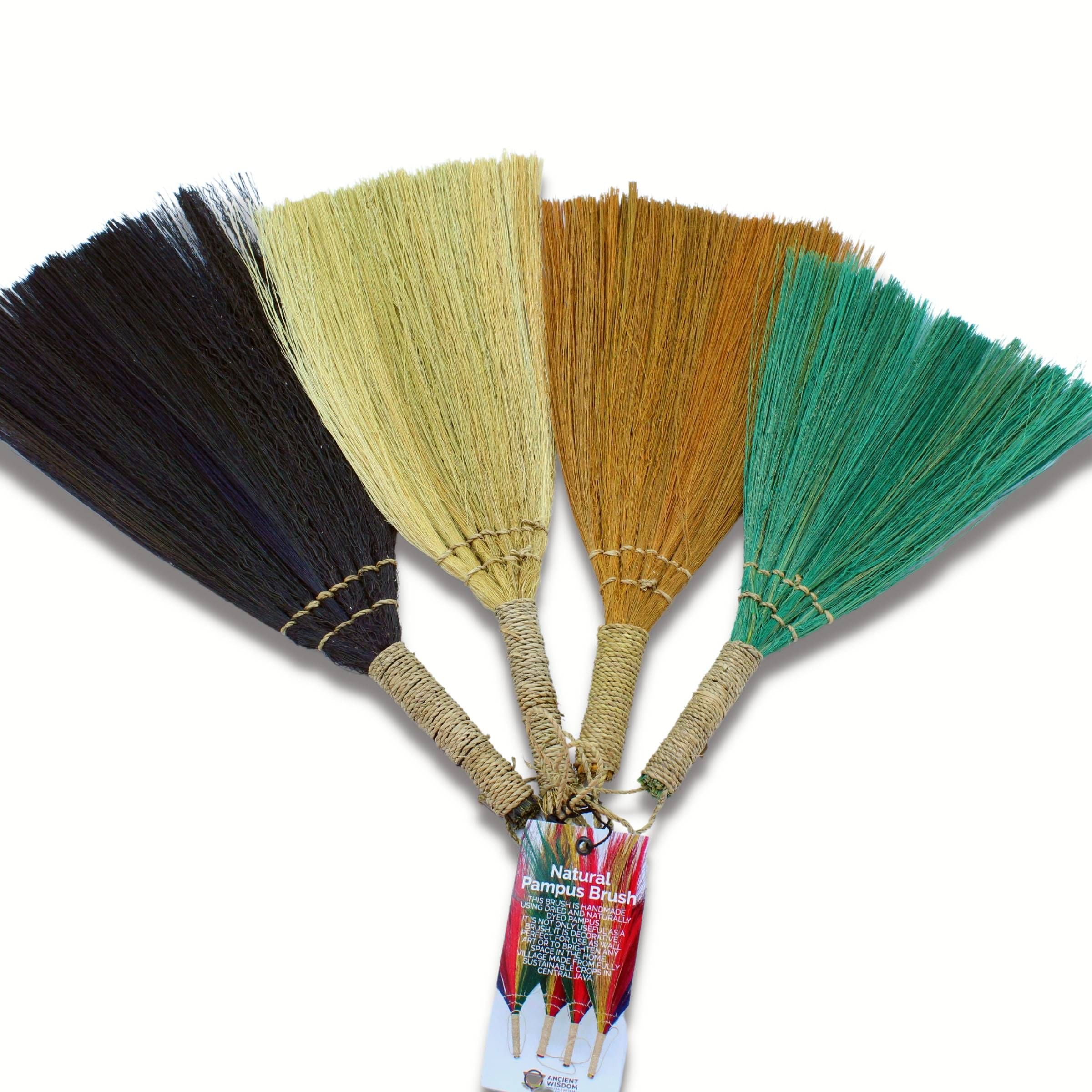 Conjunto de Pampas em Leque com Cores e Tamanhos Mistos