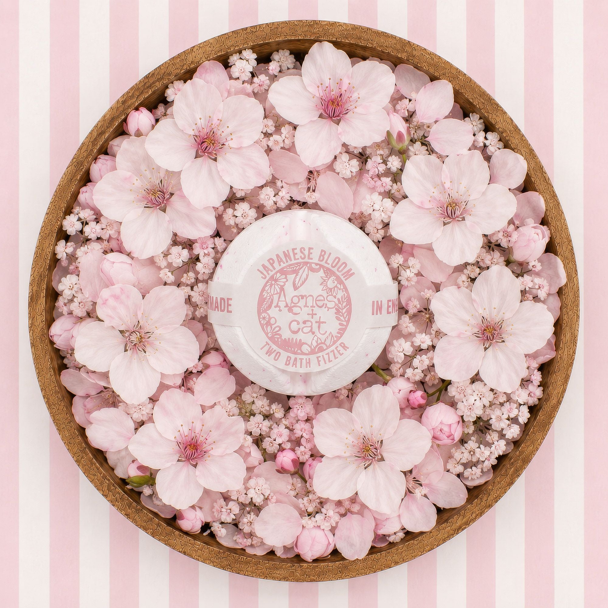 Conjunto Efervescentes de Banho Favoritas de Lakeland Agnes + Cat